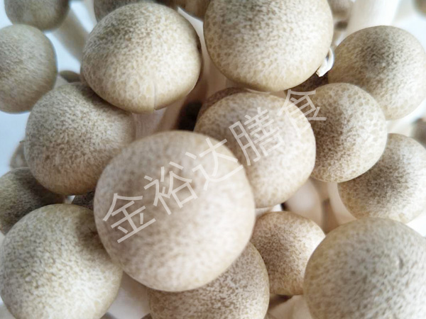 东坑常平蔬菜配送